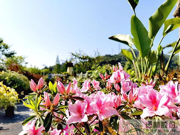 pg电子模拟器(中国)官方网站