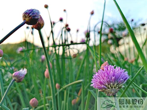 pg电子模拟器(中国)官方网站