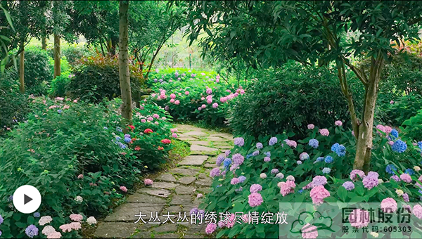 pg电子模拟器(中国)官方网站