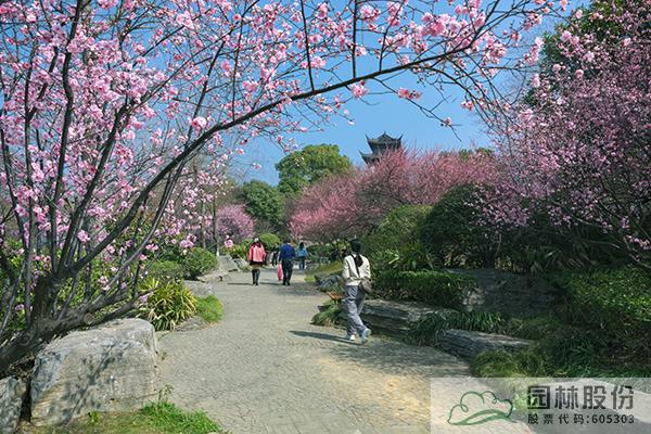 pg电子模拟器(中国)官方网站