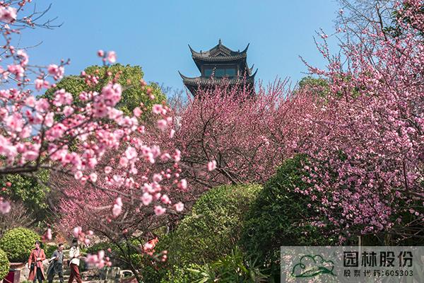 pg电子模拟器(中国)官方网站