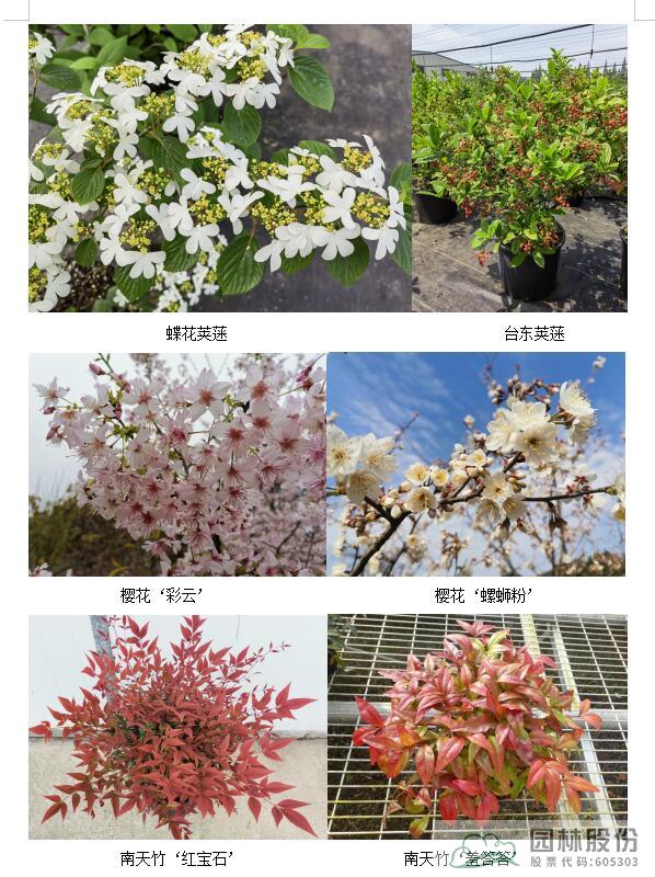 pg电子模拟器(中国)官方网站
