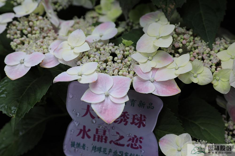 pg电子模拟器(中国)官方网站