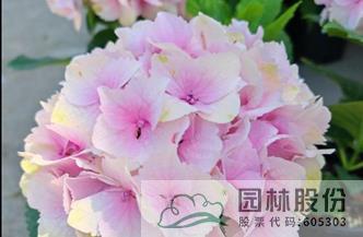 pg电子模拟器(中国)官方网站