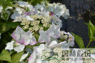 pg电子模拟器(中国)官方网站