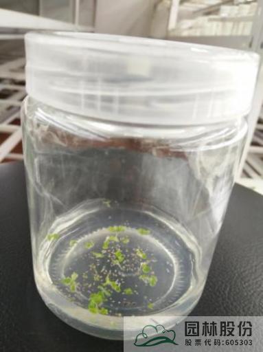 pg电子模拟器(中国)官方网站
