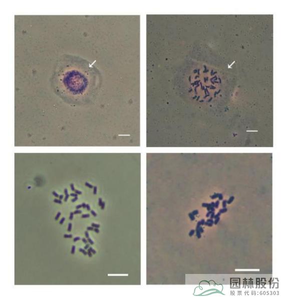 pg电子模拟器(中国)官方网站