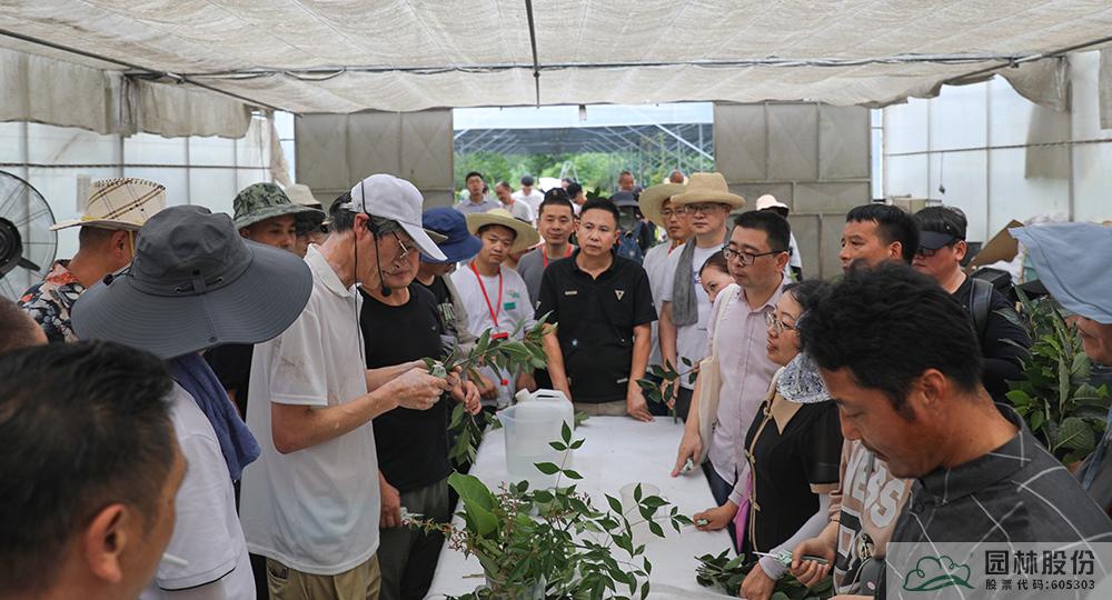pg电子模拟器(中国)官方网站
