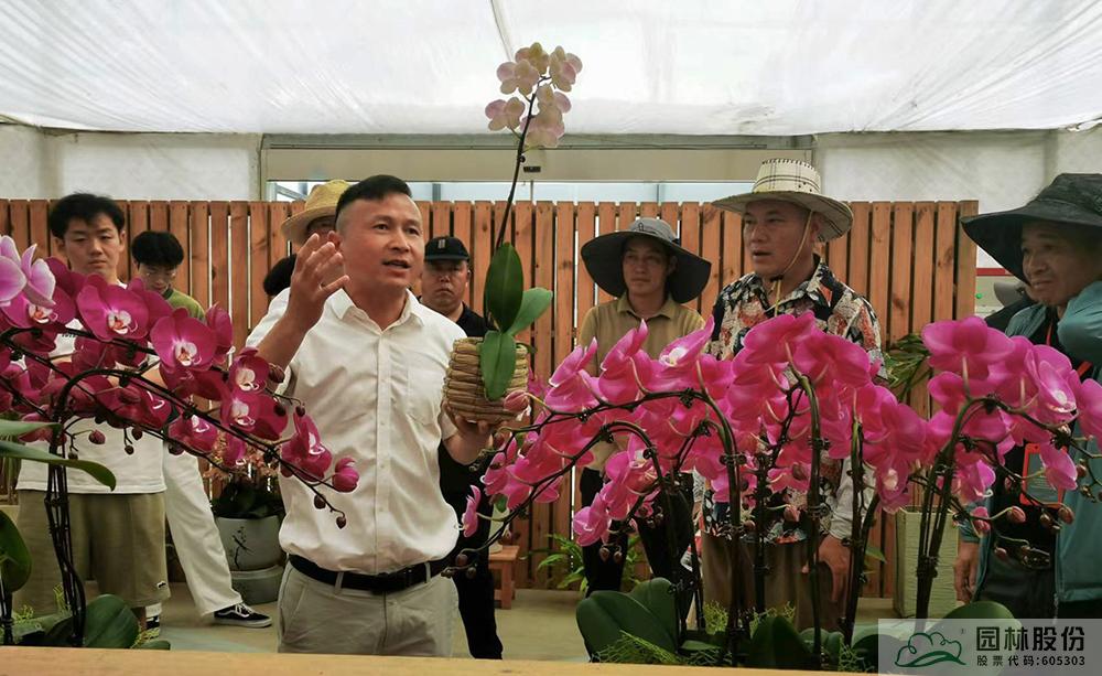 pg电子模拟器(中国)官方网站