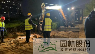pg电子模拟器(中国)官方网站