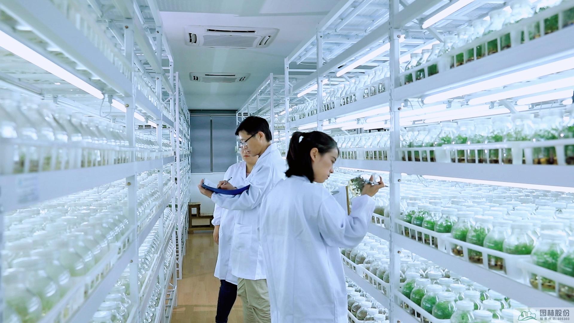 pg电子模拟器(中国)官方网站