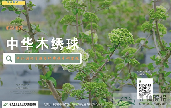 pg电子模拟器(中国)官方网站