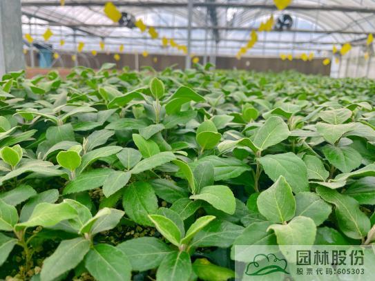 pg电子模拟器(中国)官方网站