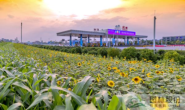 pg电子模拟器(中国)官方网站