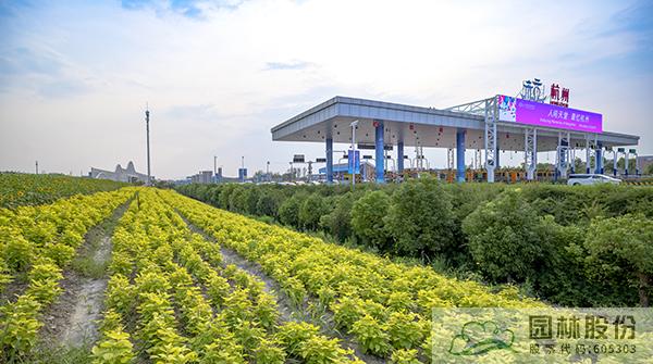 pg电子模拟器(中国)官方网站