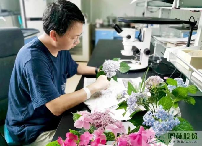 pg电子模拟器(中国)官方网站