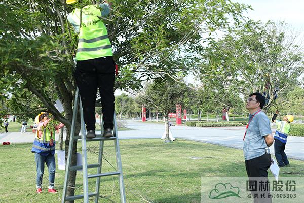 pg电子模拟器(中国)官方网站