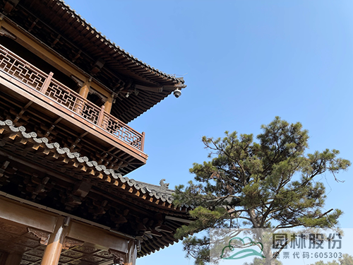 pg电子模拟器(中国)官方网站