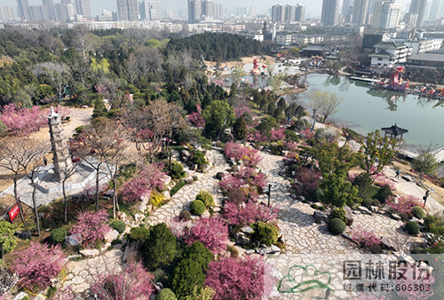 pg电子模拟器(中国)官方网站
