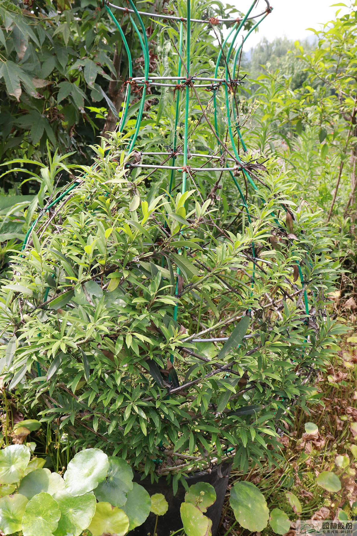 pg电子模拟器(中国)官方网站