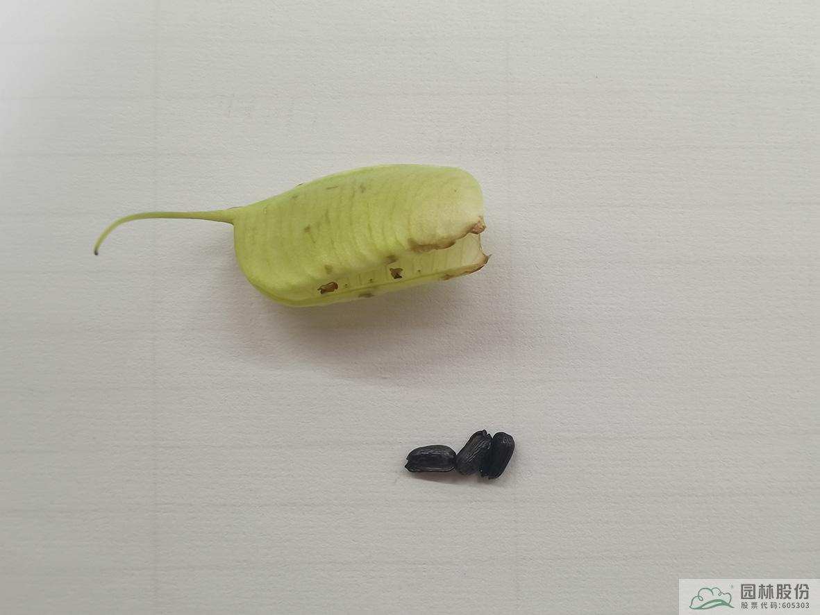 pg电子模拟器(中国)官方网站