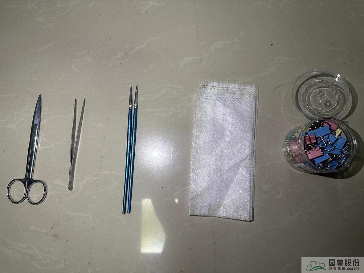 pg电子模拟器(中国)官方网站