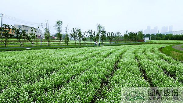 pg电子模拟器(中国)官方网站
