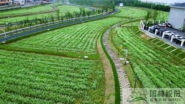pg电子模拟器(中国)官方网站
