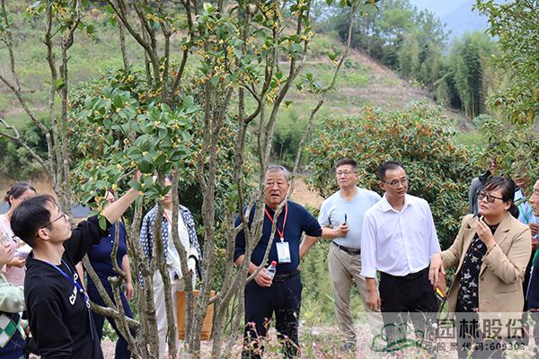 pg电子模拟器(中国)官方网站