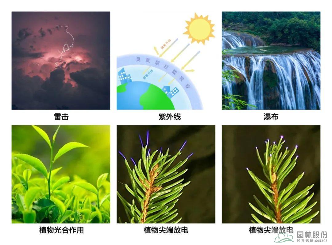 pg电子模拟器(中国)官方网站
