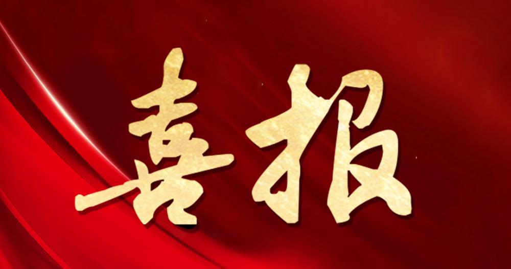 喜报 | 杭州园林股份获评“2024年度优异孝顺奖”
