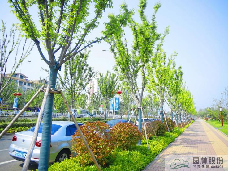 pg电子模拟器(中国)官方网站