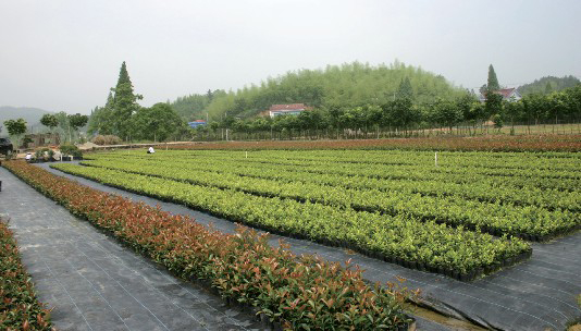 pg电子模拟器(中国)官方网站