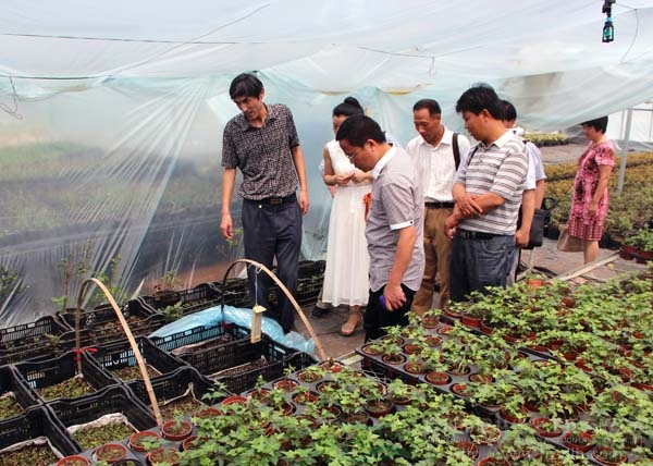 pg电子模拟器(中国)官方网站