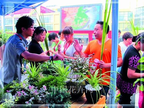 pg电子模拟器(中国)官方网站