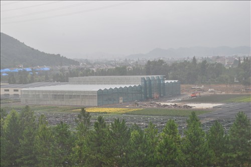 pg电子模拟器(中国)官方网站