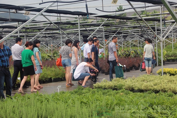 pg电子模拟器(中国)官方网站