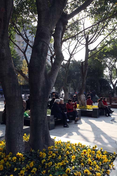 pg电子模拟器(中国)官方网站