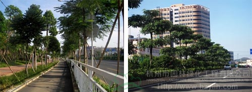pg电子模拟器(中国)官方网站