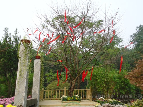 pg电子模拟器(中国)官方网站