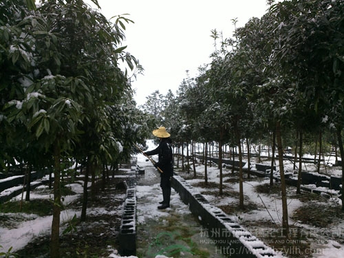pg电子模拟器(中国)官方网站