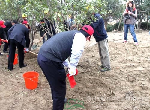 pg电子模拟器(中国)官方网站