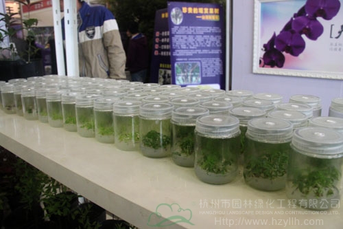 pg电子模拟器(中国)官方网站