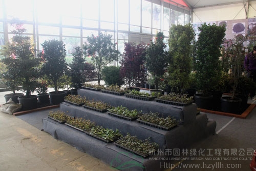 pg电子模拟器(中国)官方网站