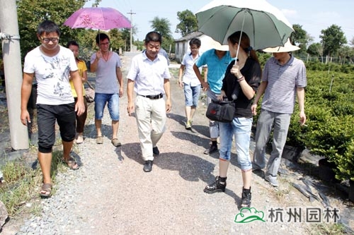 pg电子模拟器(中国)官方网站