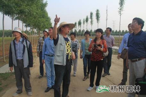 pg电子模拟器(中国)官方网站