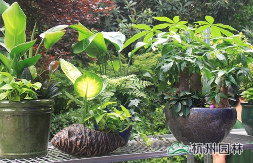 pg电子模拟器(中国)官方网站