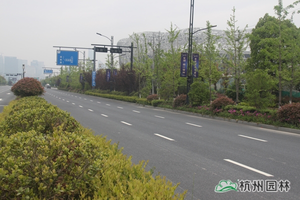 pg电子模拟器(中国)官方网站