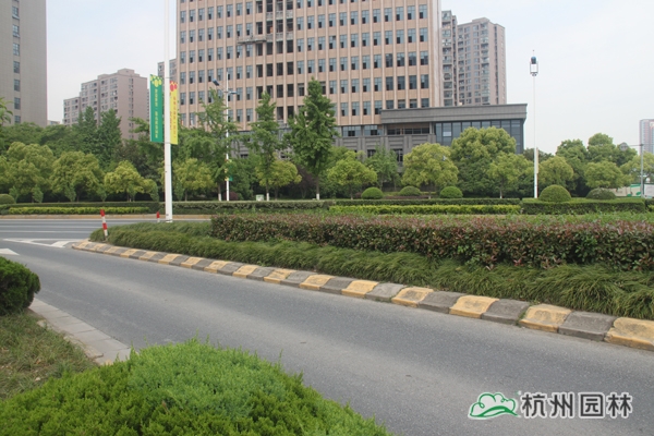pg电子模拟器(中国)官方网站