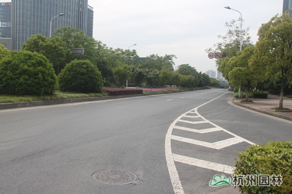 pg电子模拟器(中国)官方网站